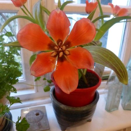 Cumberland House Bed and Breakfast Sherborne  Esterno foto